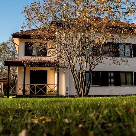 Pensiunea Negoiu Porumbacu de Sus Exterior foto