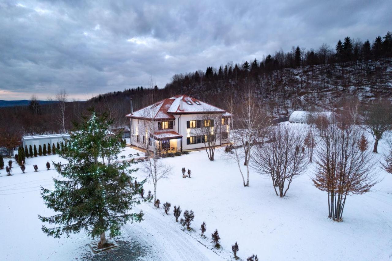 Pensiunea Negoiu Porumbacu de Sus Exterior foto