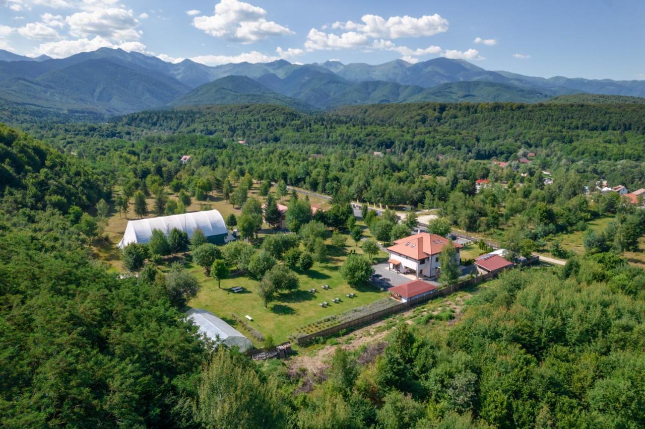 Pensiunea Negoiu Porumbacu de Sus Exterior foto