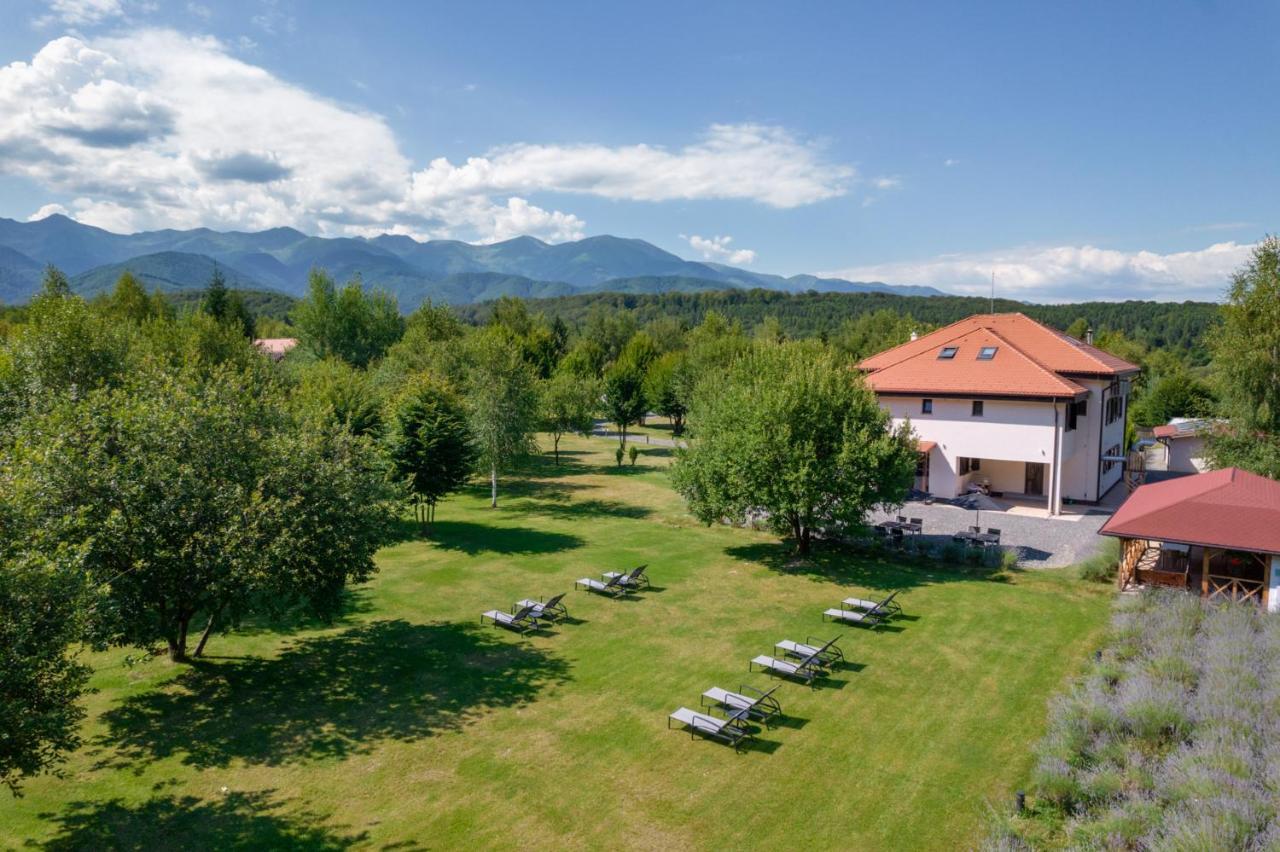 Pensiunea Negoiu Porumbacu de Sus Exterior foto