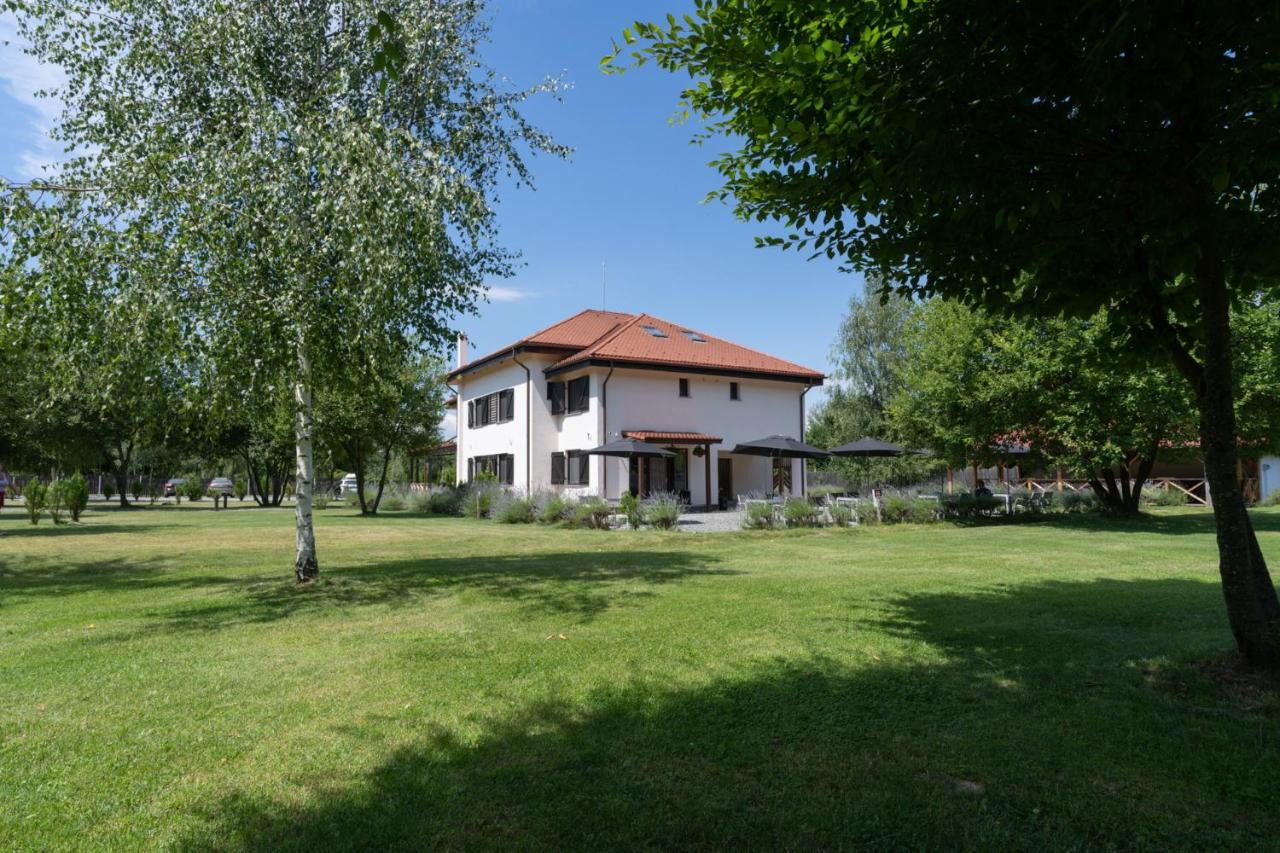 Pensiunea Negoiu Porumbacu de Sus Exterior foto