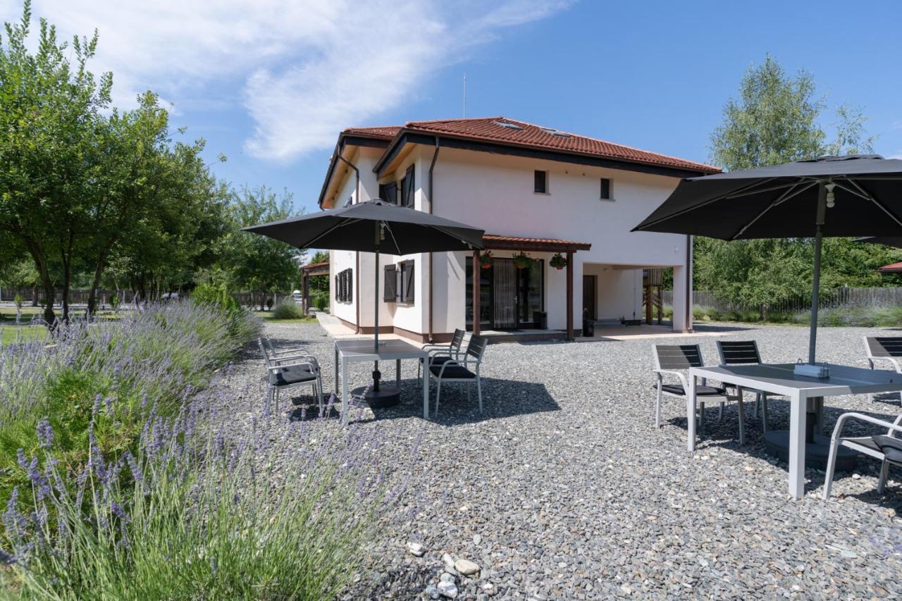 Pensiunea Negoiu Porumbacu de Sus Exterior foto