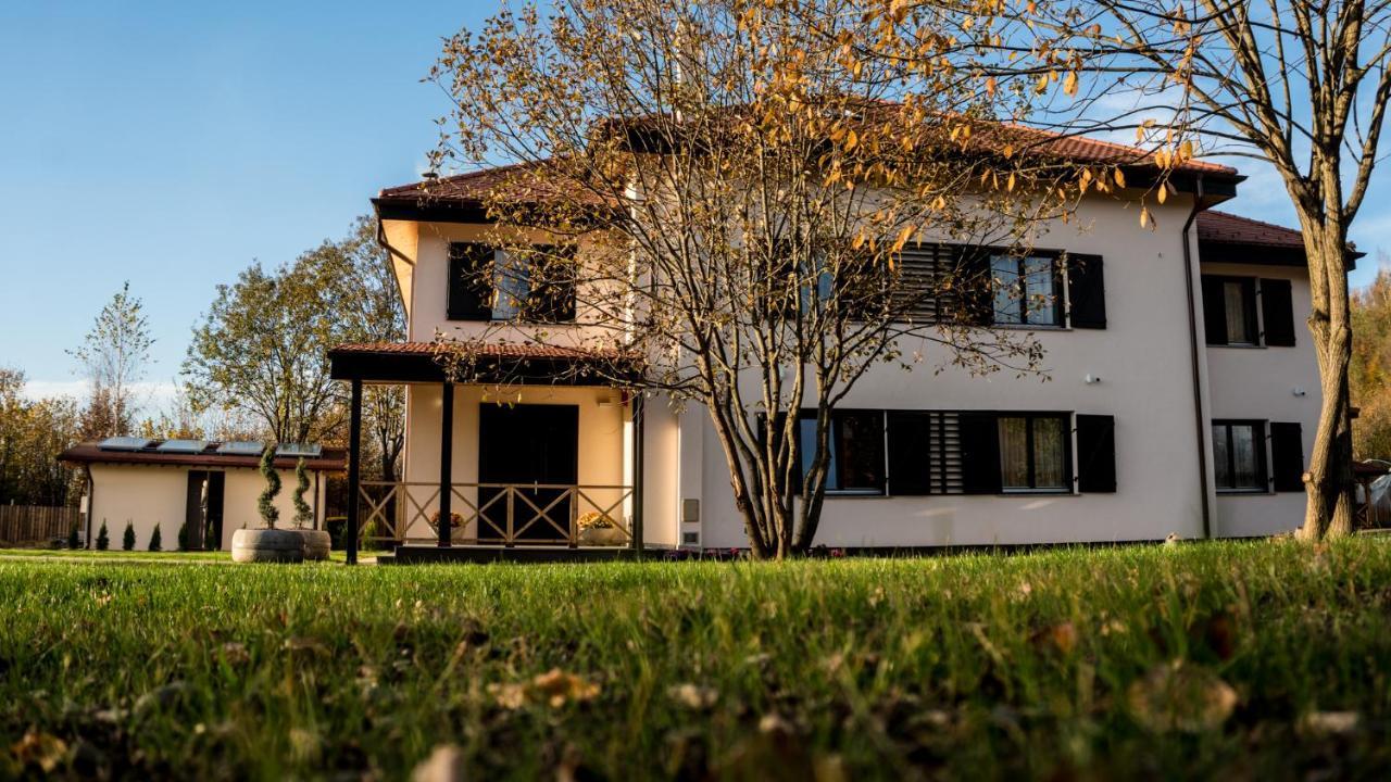 Pensiunea Negoiu Porumbacu de Sus Exterior foto