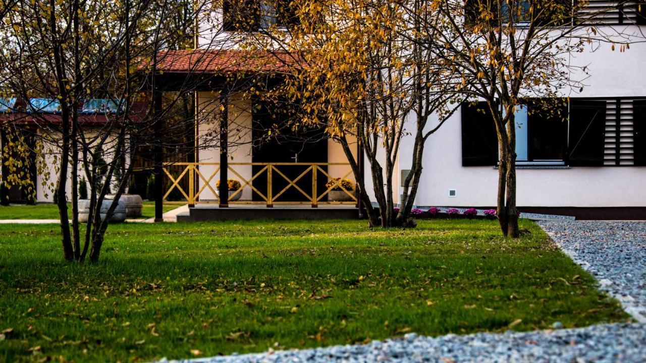 Pensiunea Negoiu Porumbacu de Sus Exterior foto